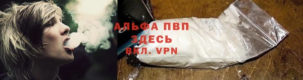 jwh Ладушкин