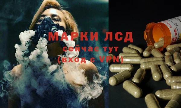 стаф Красноперекопск
