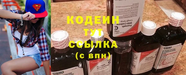 индика Лагань