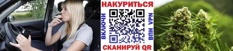 Каннабис White Widow  Стародуб 